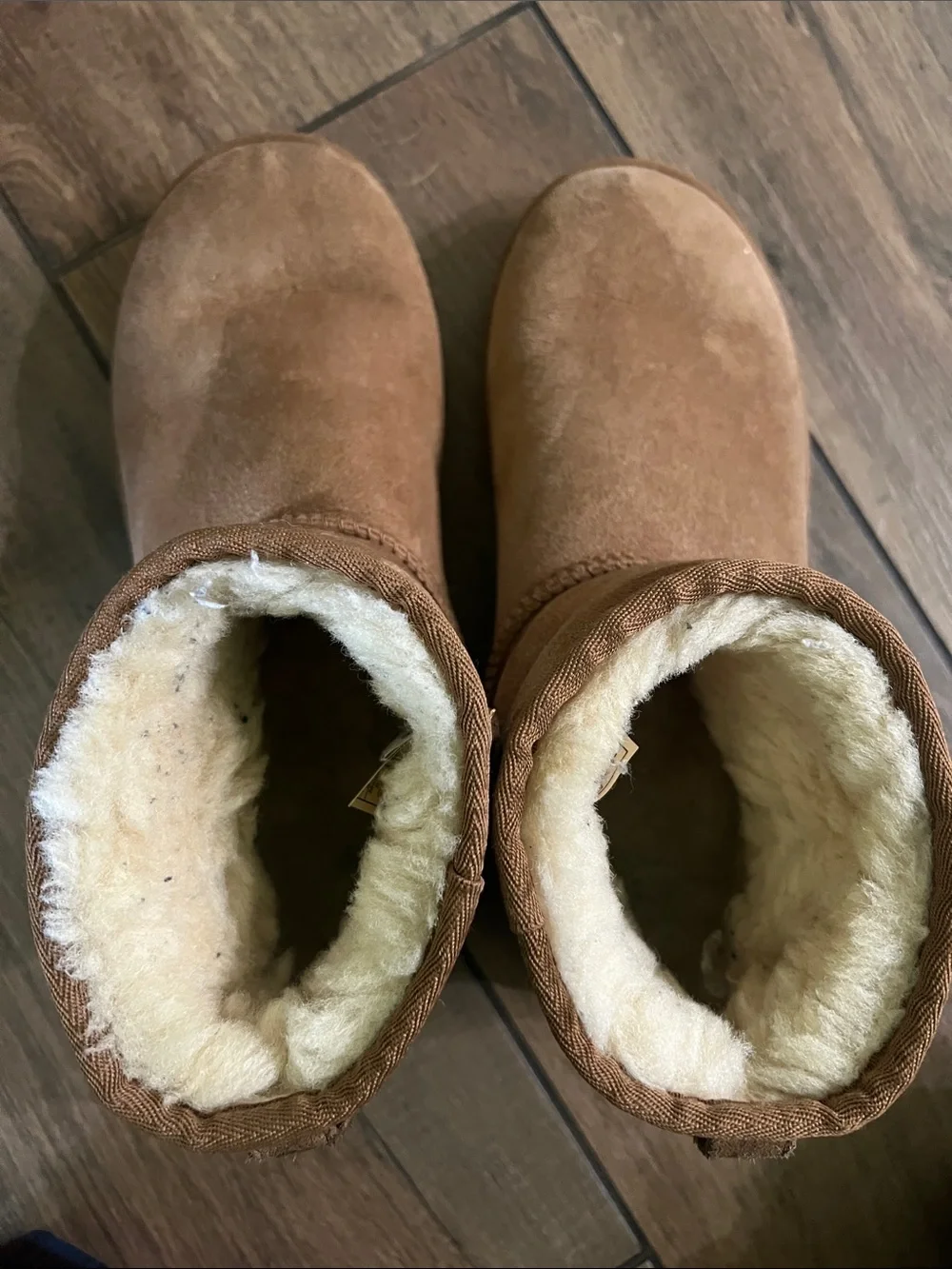 Ugg Classic Mini II Genuine Shearling Lined Boot
